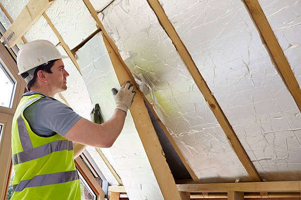 Best Energy Efficiency Solutions in South Sarasota, FL